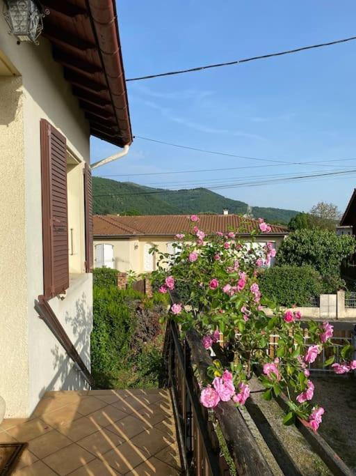 Saint-Paul-de-Jarrat La Terrasse Du Fourcat 아파트 외부 사진