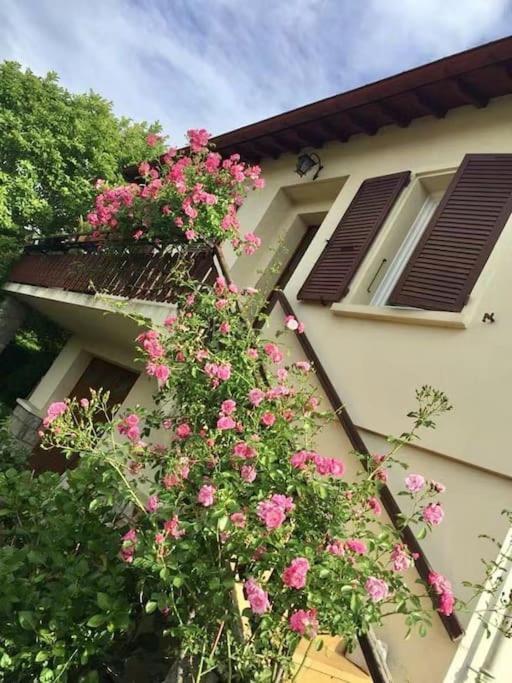 Saint-Paul-de-Jarrat La Terrasse Du Fourcat 아파트 외부 사진